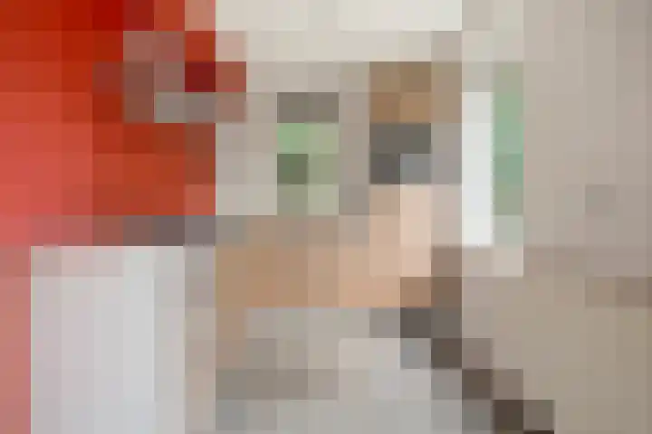 Zwolseweg 71 a 093 Heino thumbnail 11