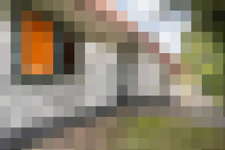 Zwolseweg 71 a 093 Heino thumbnail 24