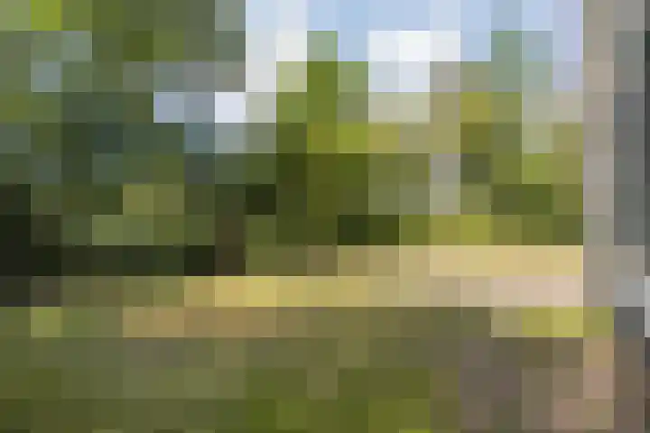 Zwolseweg 71 a 093 Heino thumbnail 25