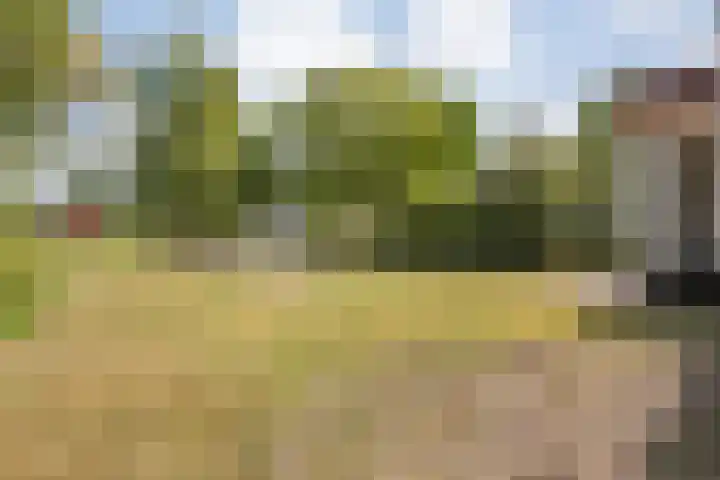 Zwolseweg 71 a 093 Heino thumbnail 27