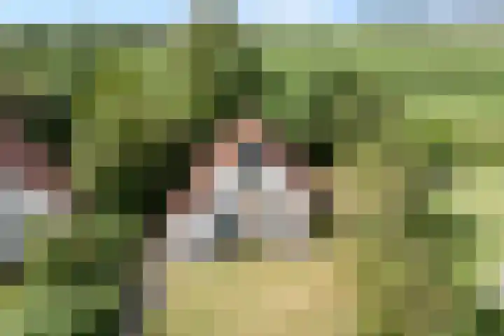 Zwolseweg 71 a 093 Heino thumbnail 33