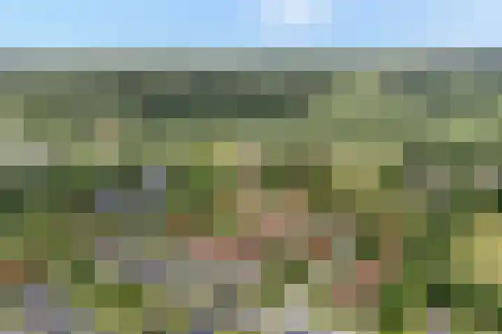 Zwolseweg 71 a 093 Heino thumbnail 4