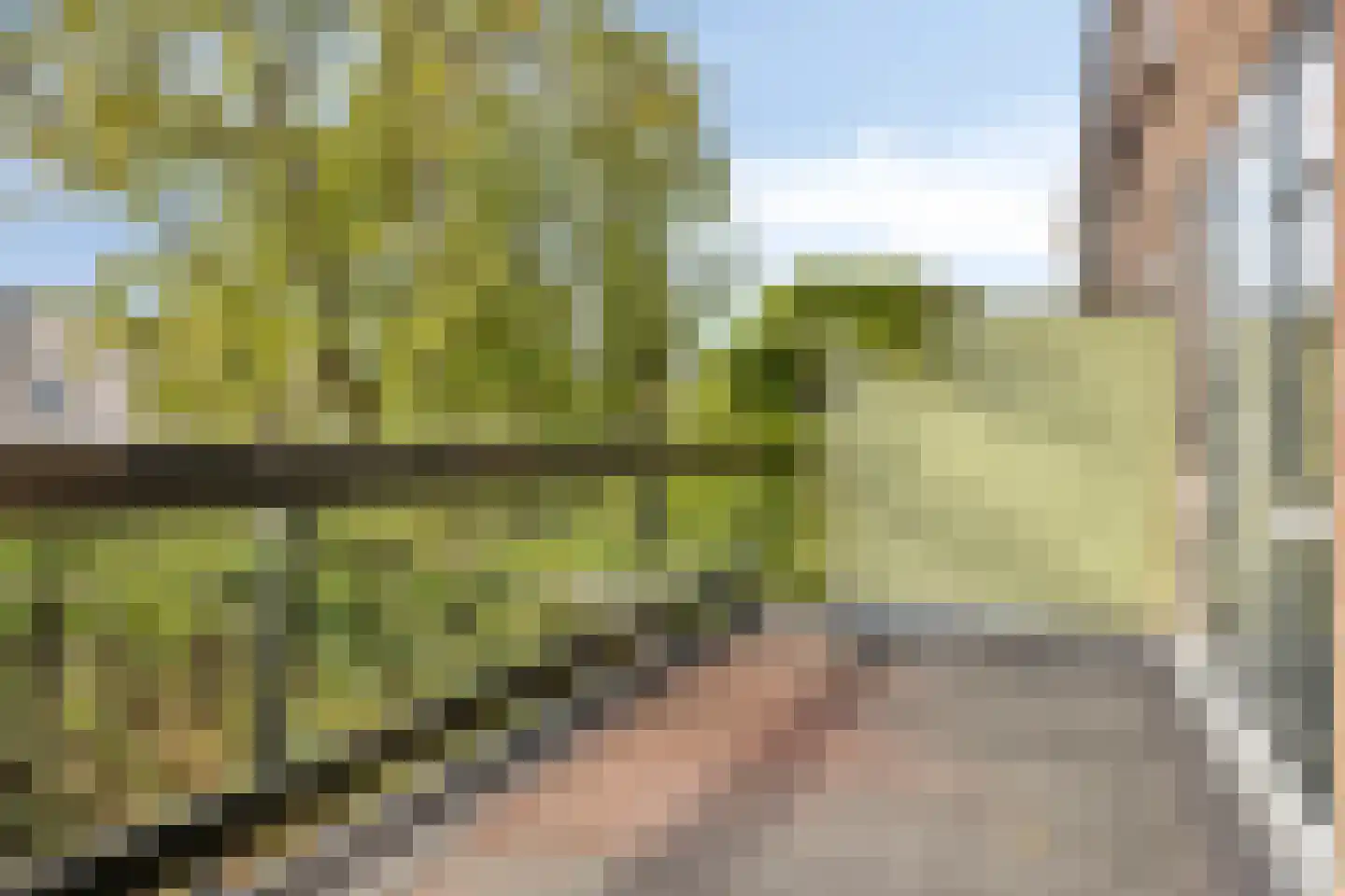 Zwolseweg 89 Deventer thumbnail 37