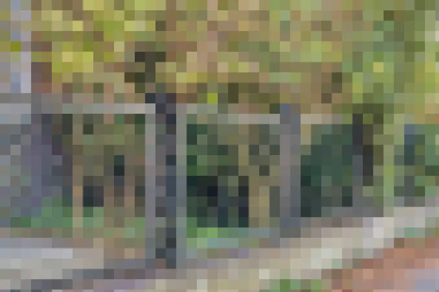 Zwolseweg 89 Deventer thumbnail 9