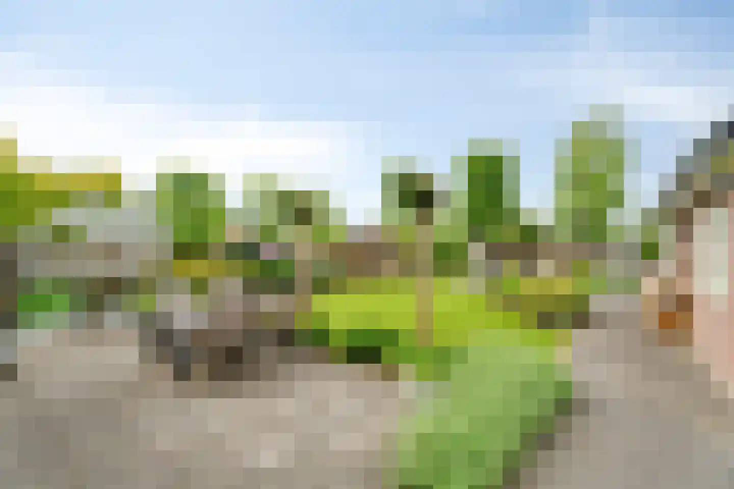 Zwolsewegje 118 Nunspeet thumbnail 4
