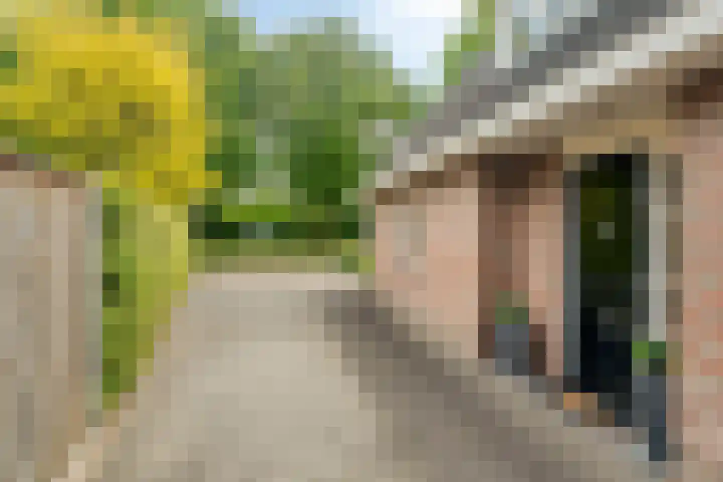 Zwolsewegje 118 Nunspeet thumbnail 48