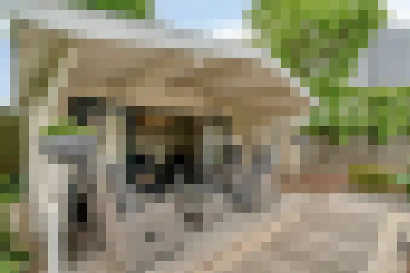 Zwolsewegje 118 Nunspeet thumbnail 54