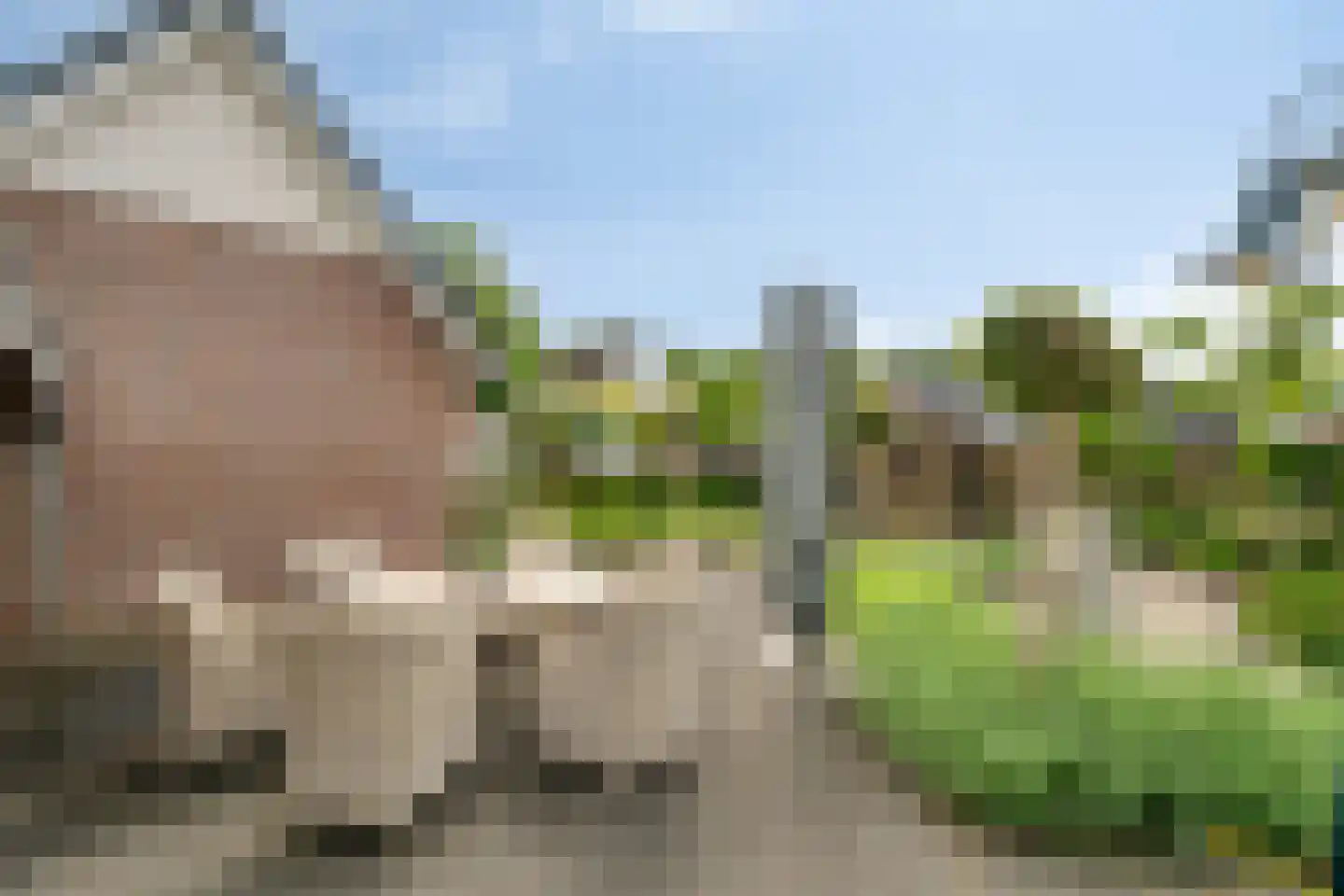 Zwolsewegje 118 Nunspeet thumbnail 59