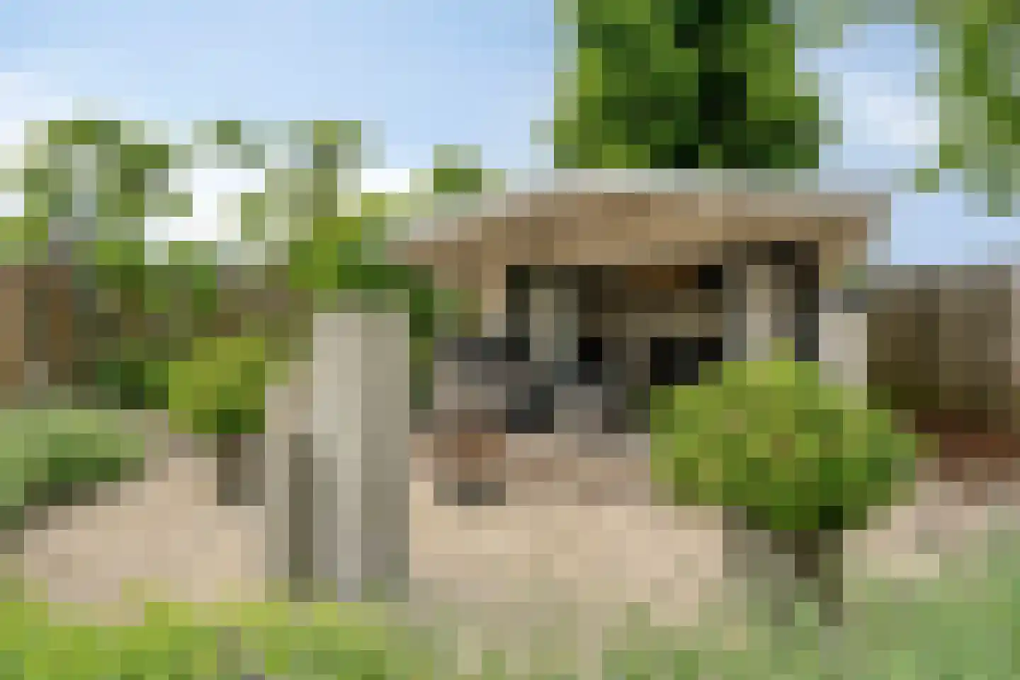 Zwolsewegje 118 Nunspeet thumbnail 60