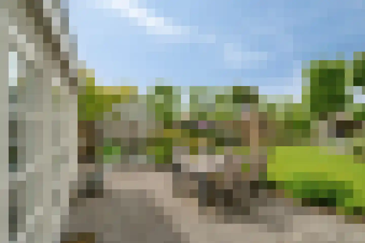 Zwolsewegje 118 Nunspeet thumbnail 62