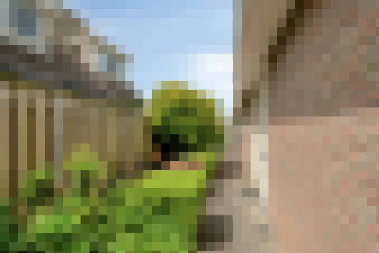 Zwolsewegje 118 Nunspeet thumbnail 67