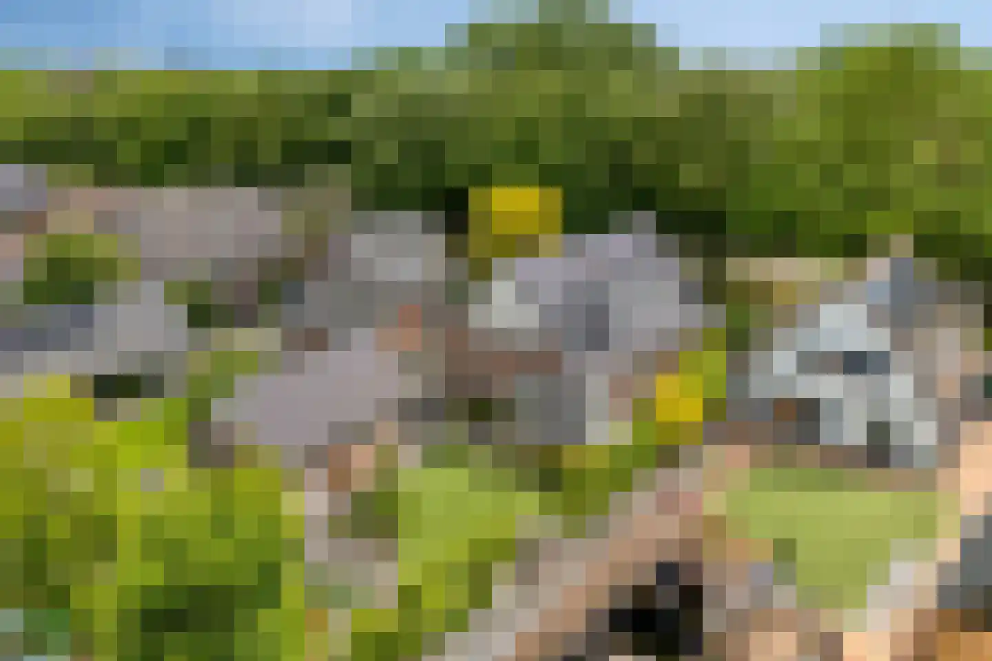 Zwolsewegje 118 Nunspeet thumbnail 70