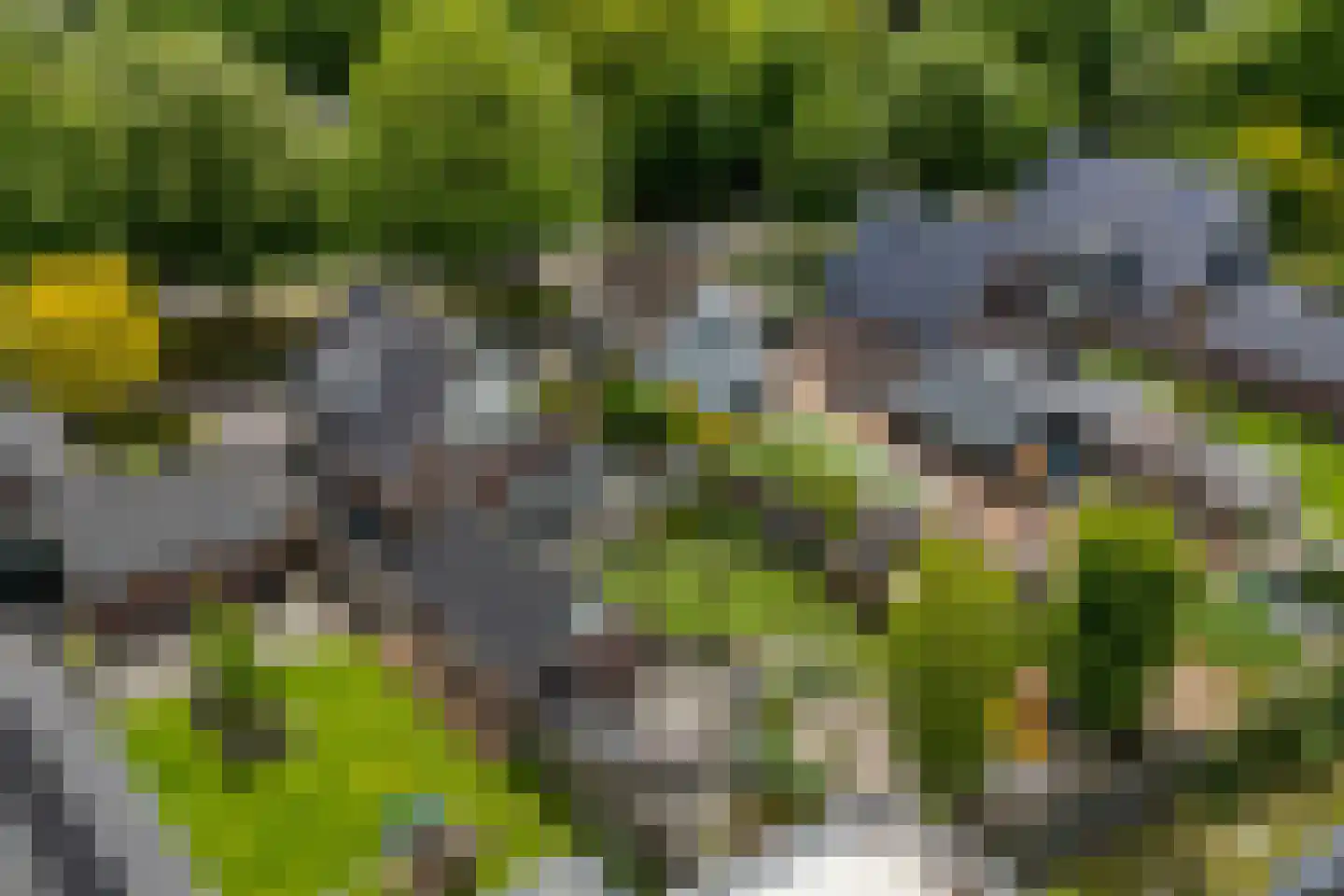 Zwolsewegje 118 Nunspeet thumbnail 72