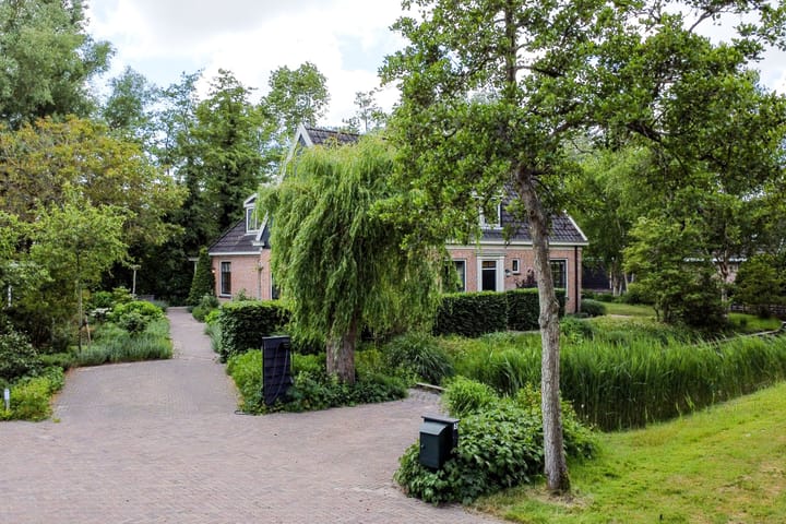 Aalscholver 3 in Broek op Langedijk