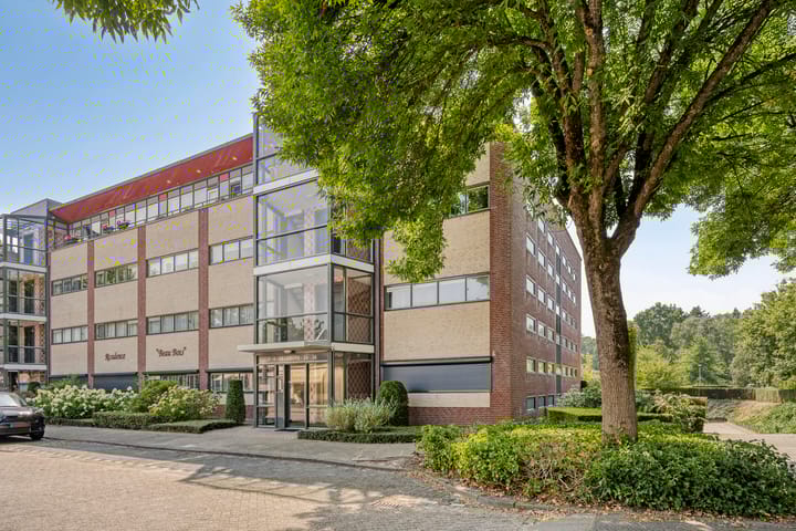 Aalscholver 4 in Etten-Leur
