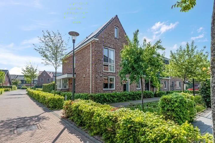 Aardbei 7 in Nijkerk