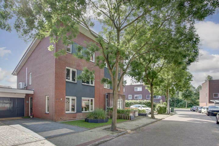 Aardbeivlinder 5 in Hoogeveen