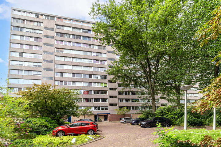 Photo of property Aart van der Leeuwlaan 1078, Delft