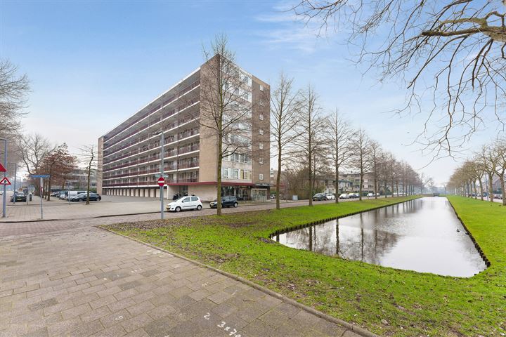 Abeelweg 98 in Rotterdam