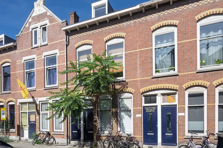 Adamshofstraat 111B in Rotterdam