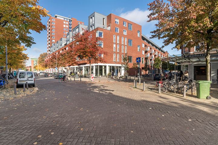 Adamshofstraat 73A in Rotterdam