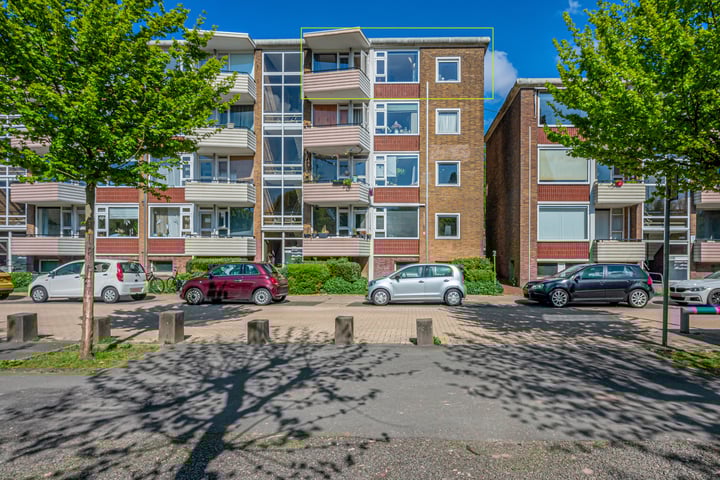 Adriaan van Ostadestraat 39 in Groningen