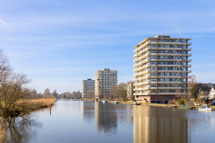 Adriaen Brouwerstraat 74 in Maassluis