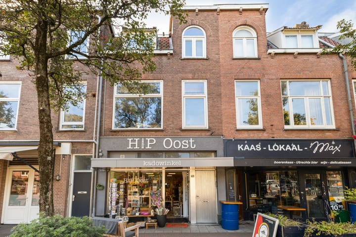 Adriaen van Ostadelaan 63B in Utrecht