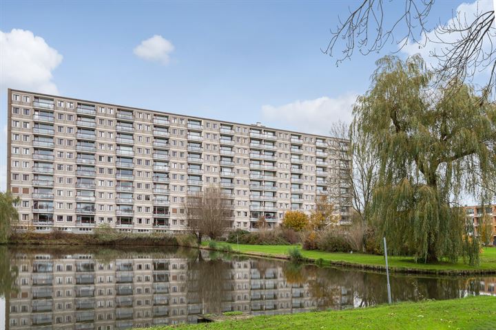 Akeleistraat 34D in Spijkenisse