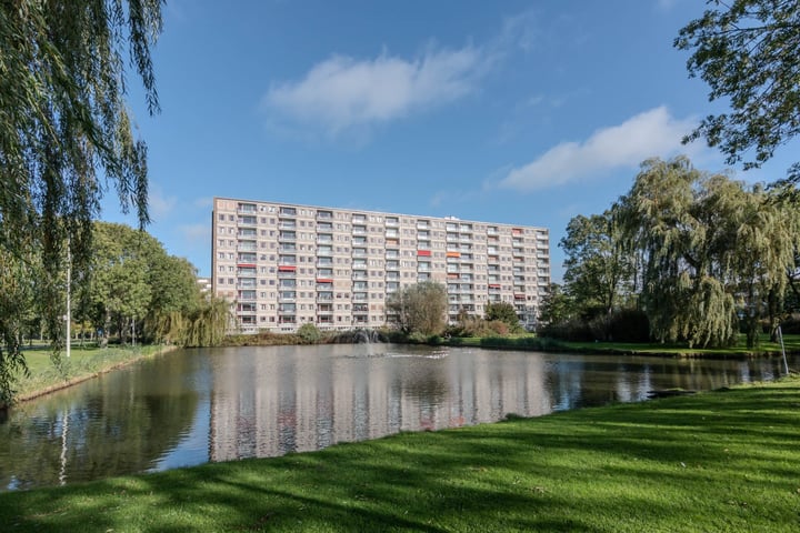 Akeleistraat 36B in Spijkenisse