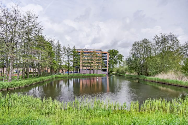 Akkerviool 89 in Hendrik-Ido-Ambacht