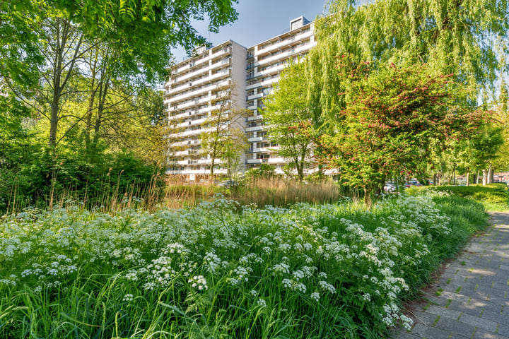 Akkerwinde 195 in Capelle aan den IJssel