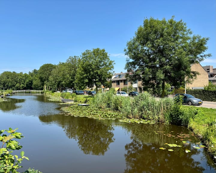Photo of property Albert Meijnsstraat 16, Wormerveer