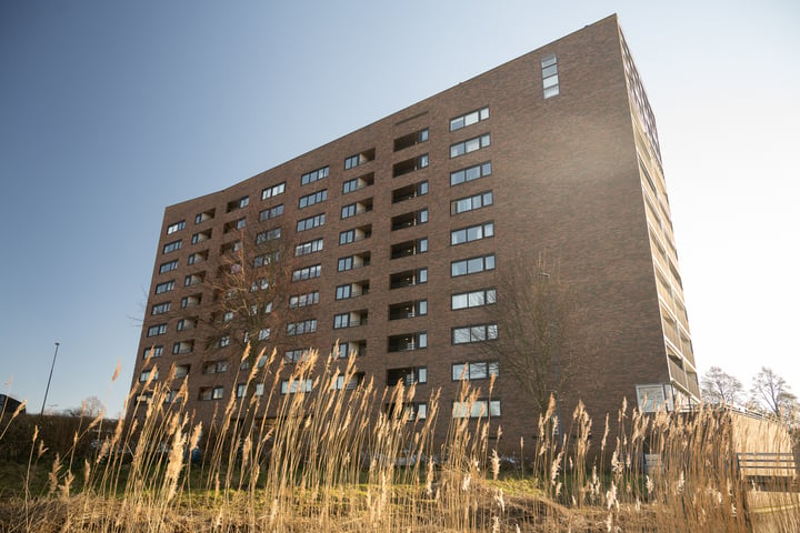 Albert Schweitzersingel 123 in Zoetermeer