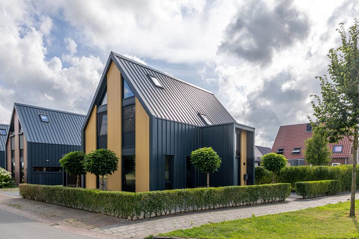 Alde Terp 21 in Dokkum