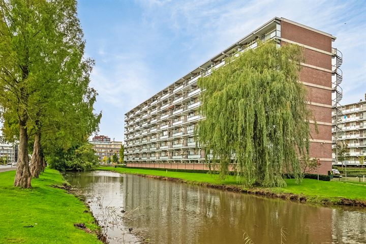 Alkenoord 65 in Capelle aan den IJssel