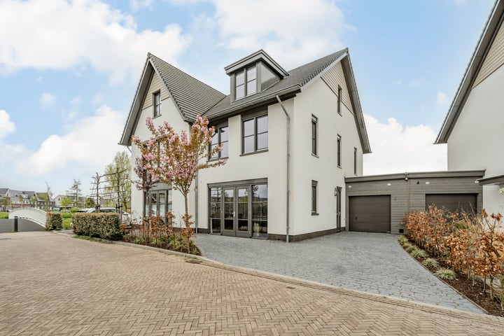 Allium 9 in Voorhout