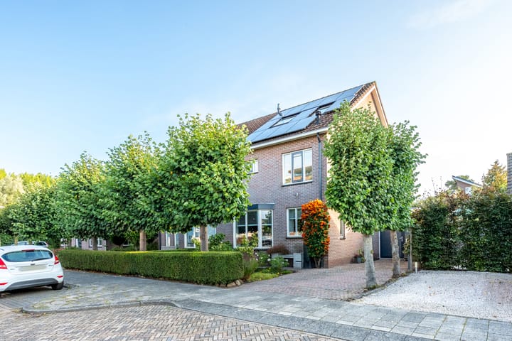 Amaliastein 138 in Vianen