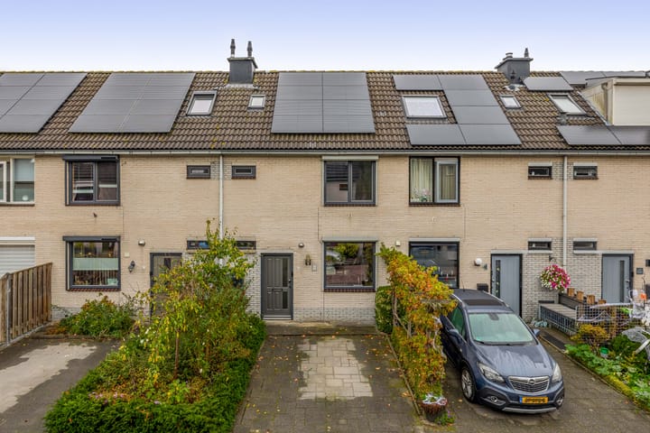 Amazonestraat 15 in Spijkenisse