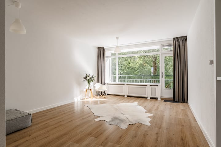 Amerbos 36 in Amsterdam