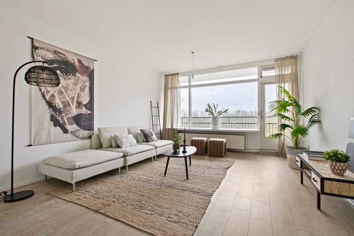 Amerbos 362 in Amsterdam