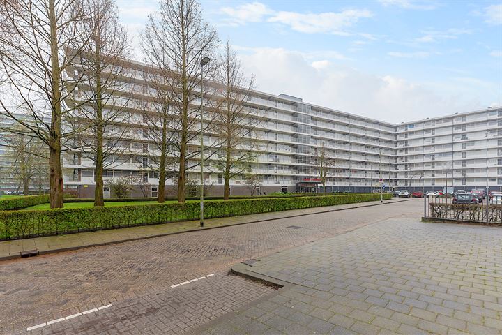 Anatole Franceplaats 404 in Rotterdam