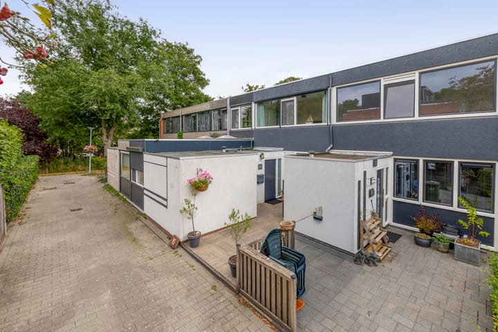 Andoorn 15 in Rotterdam Foto