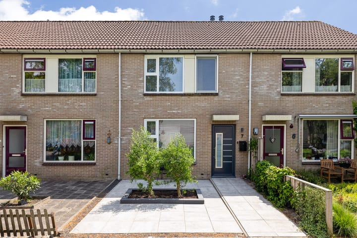 Ankerpad 7 in Sneek