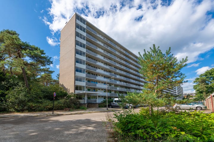 Photo of property Anna Paulownalaan 21, Zeist