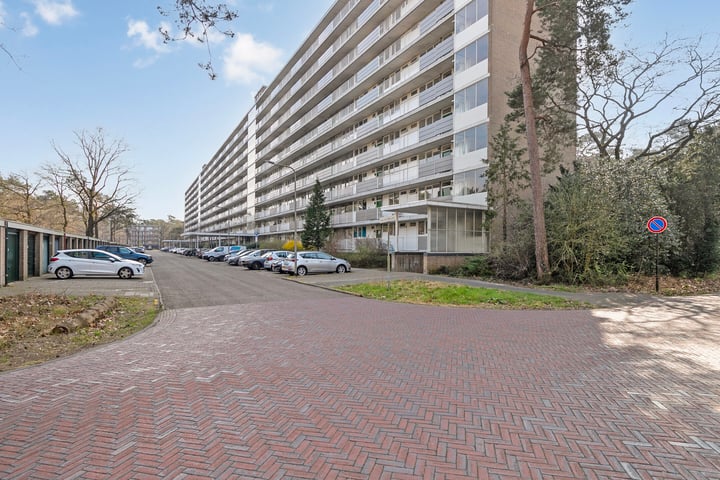 Anna Paulownalaan 38 in Zeist