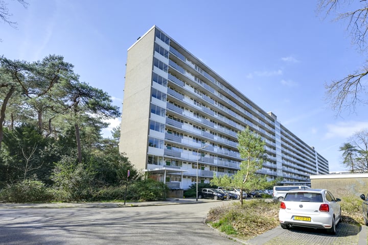Anna Paulownalaan 58 in Zeist