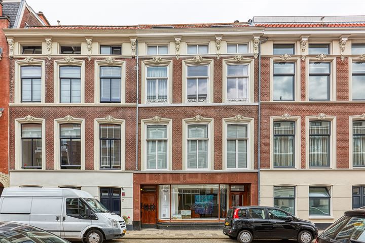 Anna Paulownastraat 69B in 's-Gravenhage