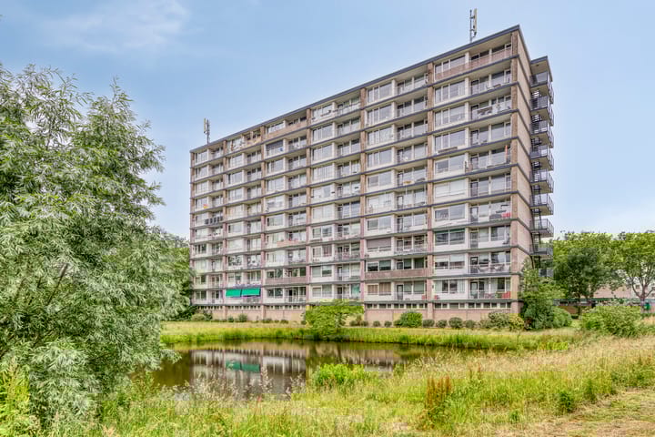 Antwerpenstraat 440 in Breda