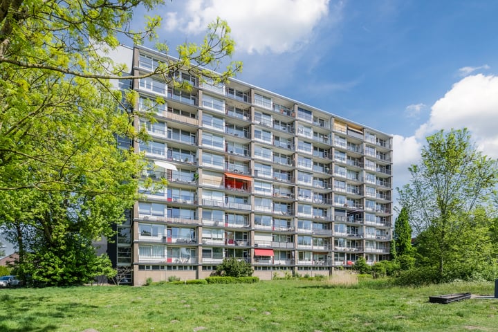 Antwerpenstraat 80 in Breda
